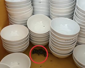 Bộ Y tế y&ecirc;u cầu kiểm tra khẩn bếp ăn nh&agrave; h&agrave;ng tiệc cưới sau phản &aacute;nh mất vệ sinh - Ảnh 1.