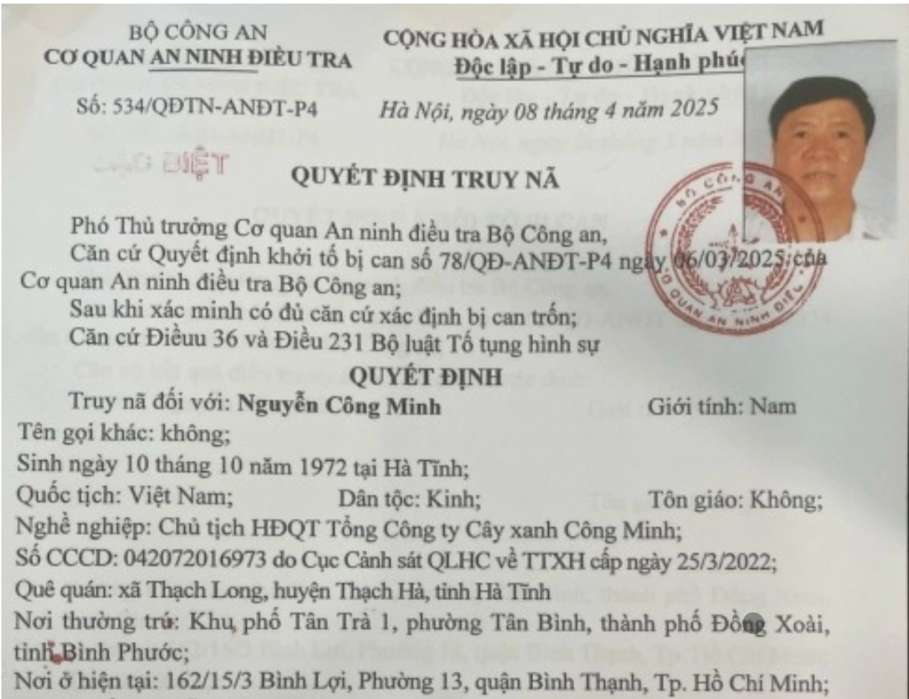 Đề nghị truy tố vắng mặt Chủ tịch HĐQT Công ty cây xanh Công Minh - Ảnh 1.