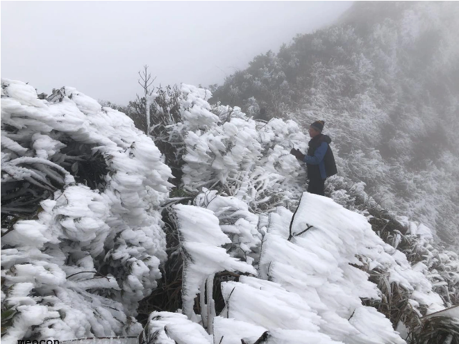 Dự báo thời tiết 16/1: Miền Bắc rét sâu, nhiều nơi khả năng có băng giá và sương muối - Ảnh 1.