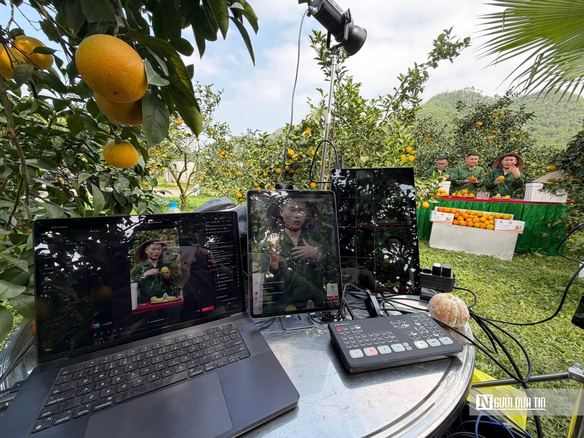 &ldquo;Thủ phủ&rdquo; cam gi&ograve;n H&agrave; Tĩnh ước t&iacute;nh thu h&agrave;ng chục tỷ dịp Tết Nguy&ecirc;n đ&aacute;n  - Ảnh 4.