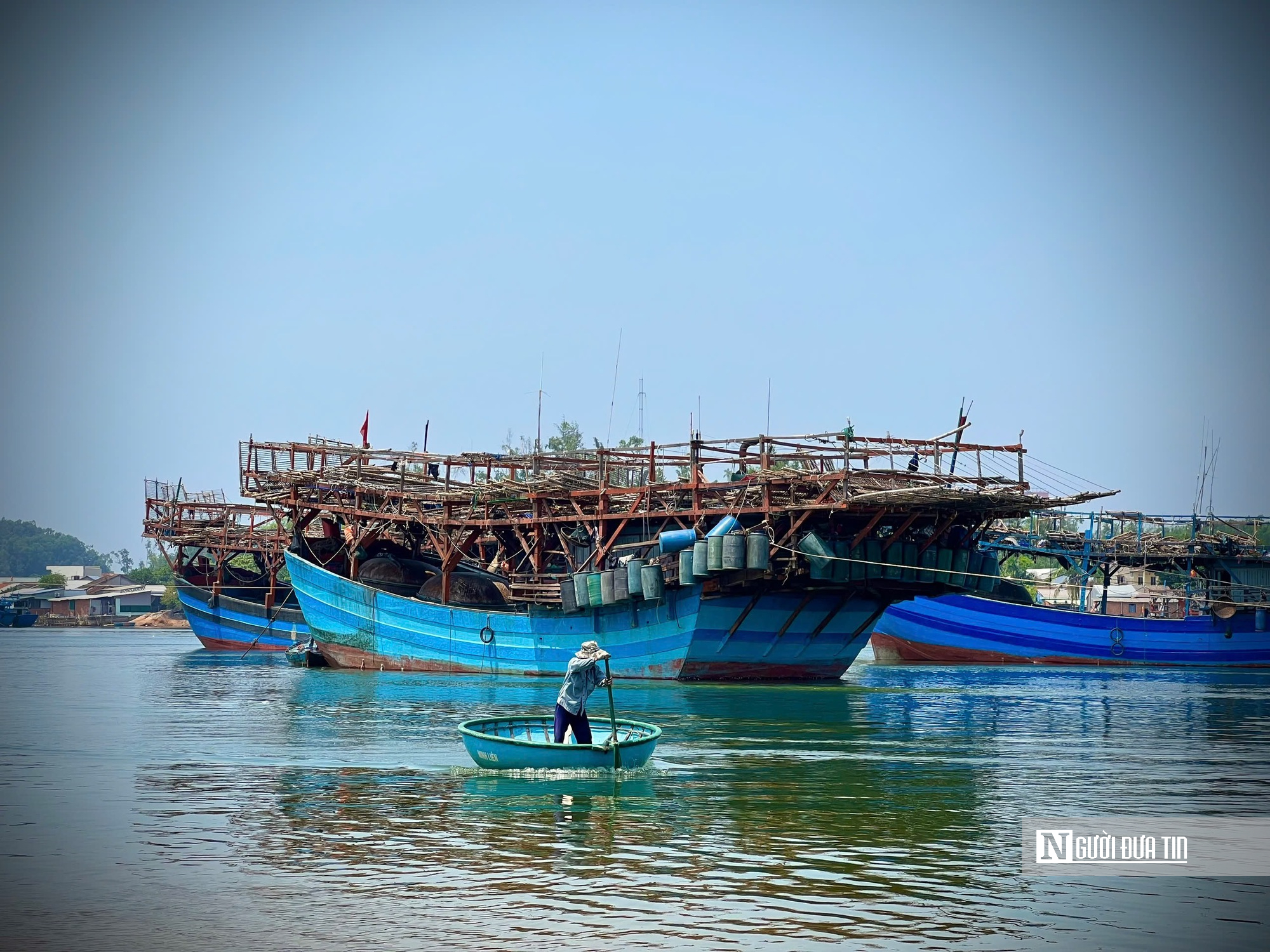 "Lộc biển" được gi&aacute;, ngư d&acirc;n đ&oacute;n Tết sớm- Ảnh 1.