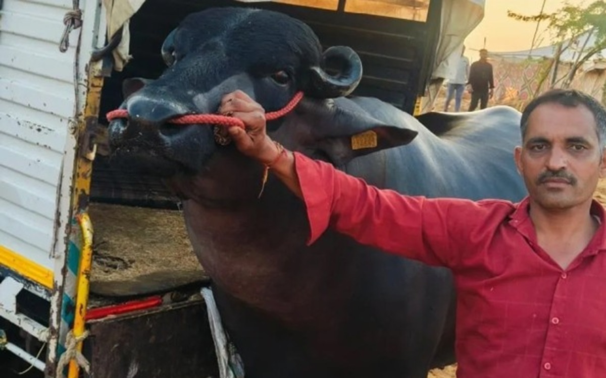 Chuyện kh&oacute; tin nhưng thật: Đặt mua điện thoại Nokia, người đ&agrave;n &ocirc;ng nhận h&agrave;ng sau 16 năm - Ảnh 2.