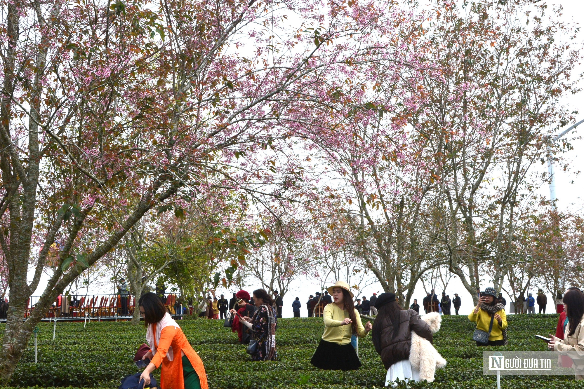 Tăng trưởng &ldquo;2 con số&rdquo; năm 2026: L&acirc;m Đồng đặt mục ti&ecirc;u đ&oacute;n hơn 25 triệu lượt kh&aacute;ch - Ảnh 2.