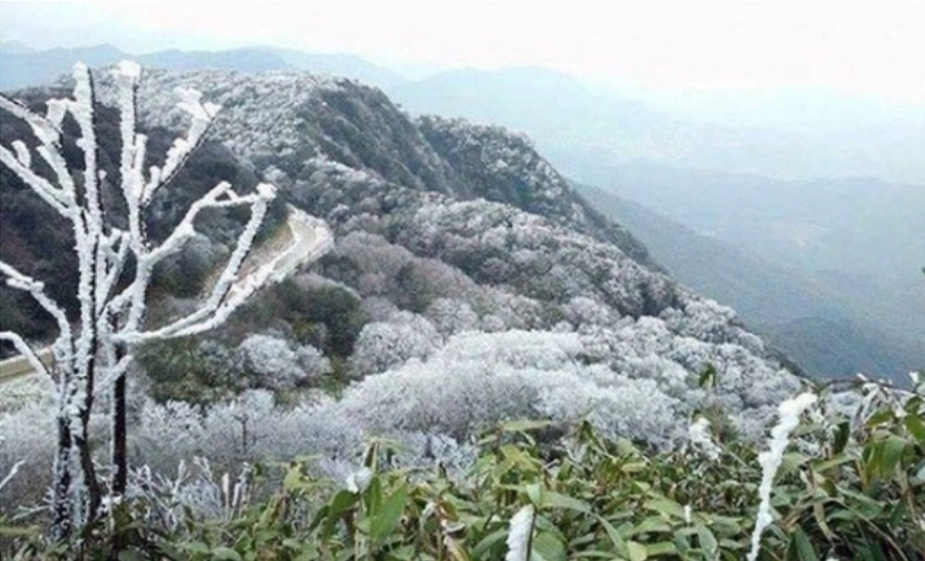 Dự báo thời tiết 18/1:  - Ảnh 1.