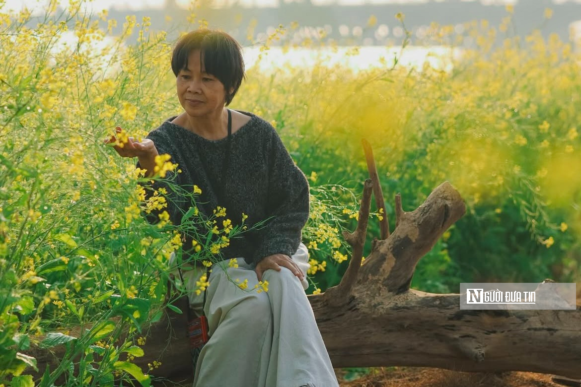 Vườn hoa c&uacute;c bướm nở rộ, nhuộm sắc xu&acirc;n dưới ch&acirc;n cầu Long Bi&ecirc;n - Ảnh 8.