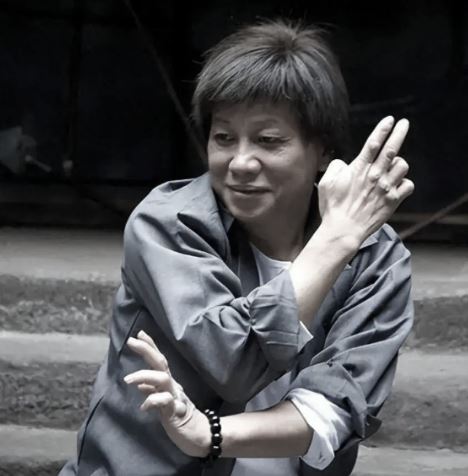 Ng&ocirc;i sao v&otilde; thuật "Tuyệt đỉnh Kungfu" qua đời- Ảnh 1.