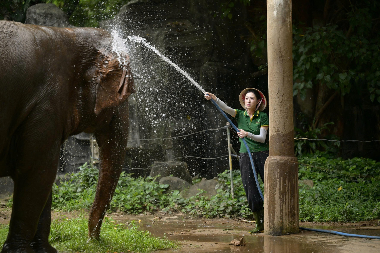 Rời cuộc sống Hoa hậu, Lương Thùy Linh làm người giúp việc, thu dọn chuồng thú trong Xinh-Đờ-Rê-Linh- Ảnh 6.