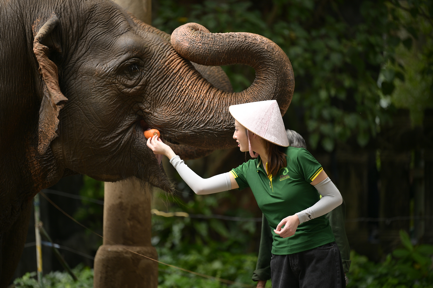 Rời cuộc sống Hoa hậu, Lương Thùy Linh làm người giúp việc, thu dọn chuồng thú trong Xinh-Đờ-Rê-Linh- Ảnh 7.