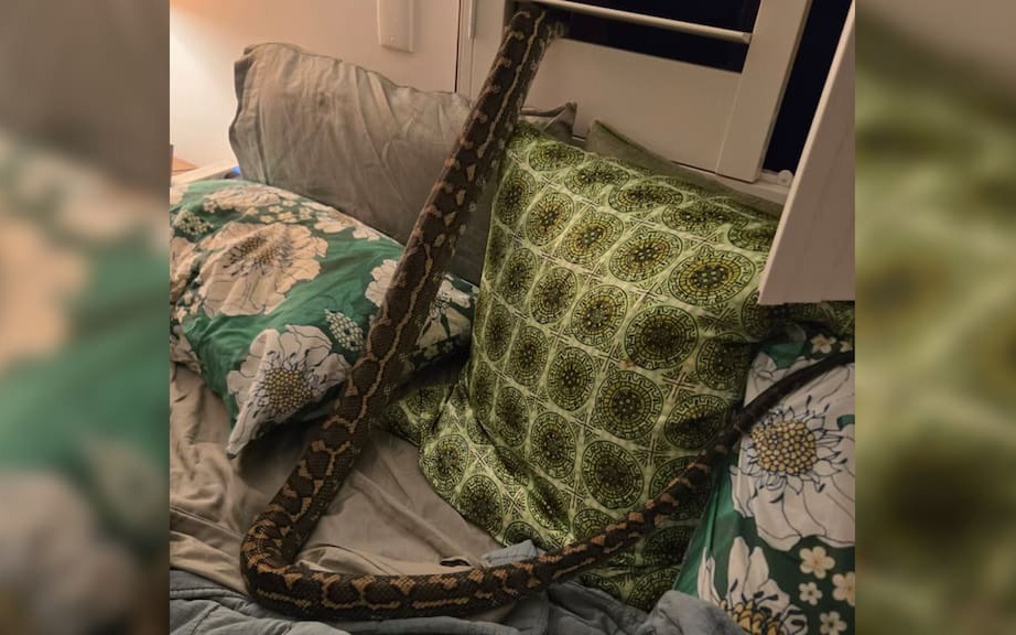 C&ocirc; g&aacute;i trẻ bại n&atilde;o tự kiếm 1,5 tỷ đồng bằng c&aacute;ch ai cũng c&oacute; thể học theo - Ảnh 2.