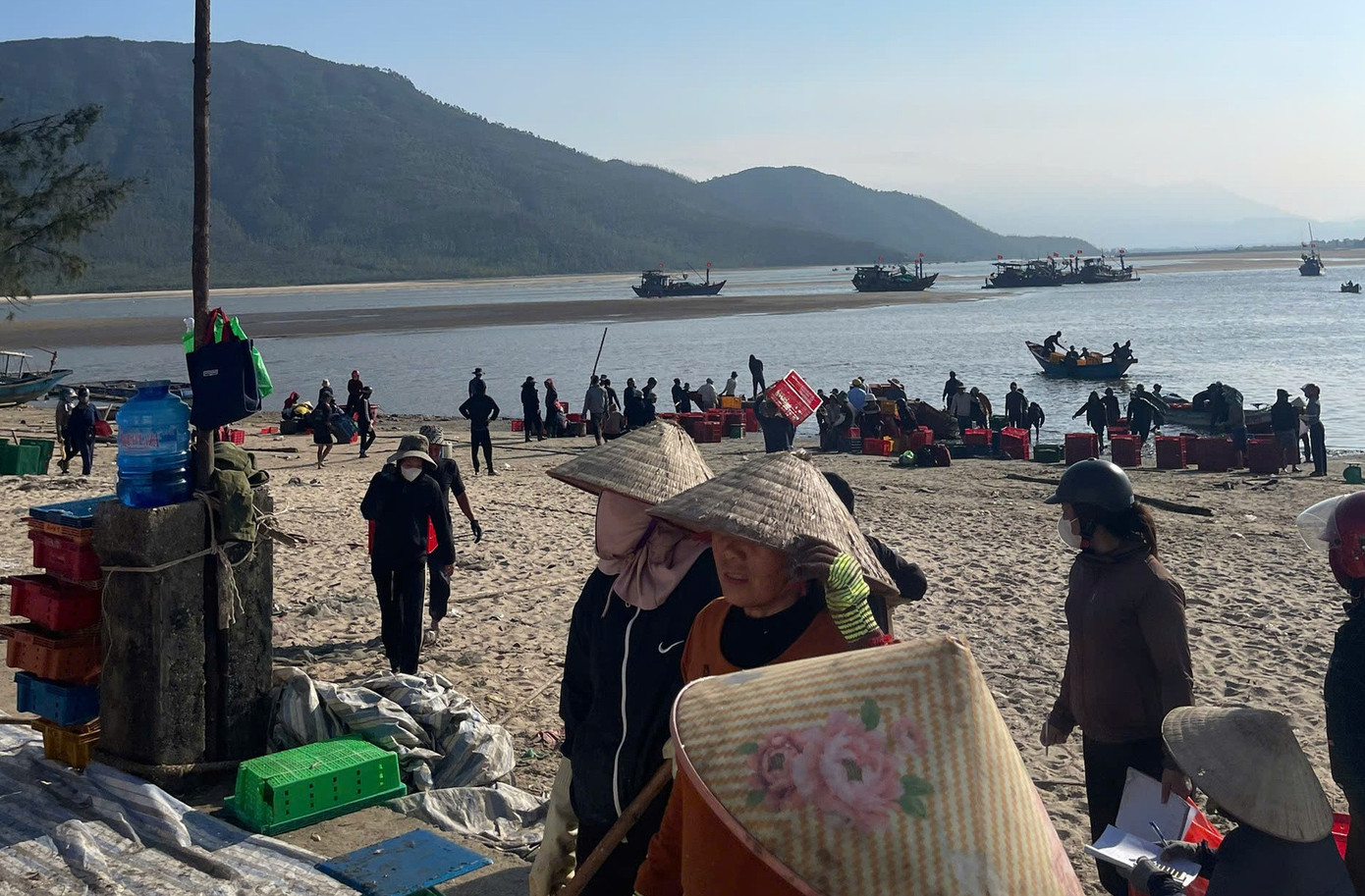 Ngư d&acirc;n H&agrave; Tĩnh tr&uacute;ng đậm &lsquo;lộc biển&rsquo;, thu tiền triệu mỗi ng&agrave;y - Ảnh 6.
