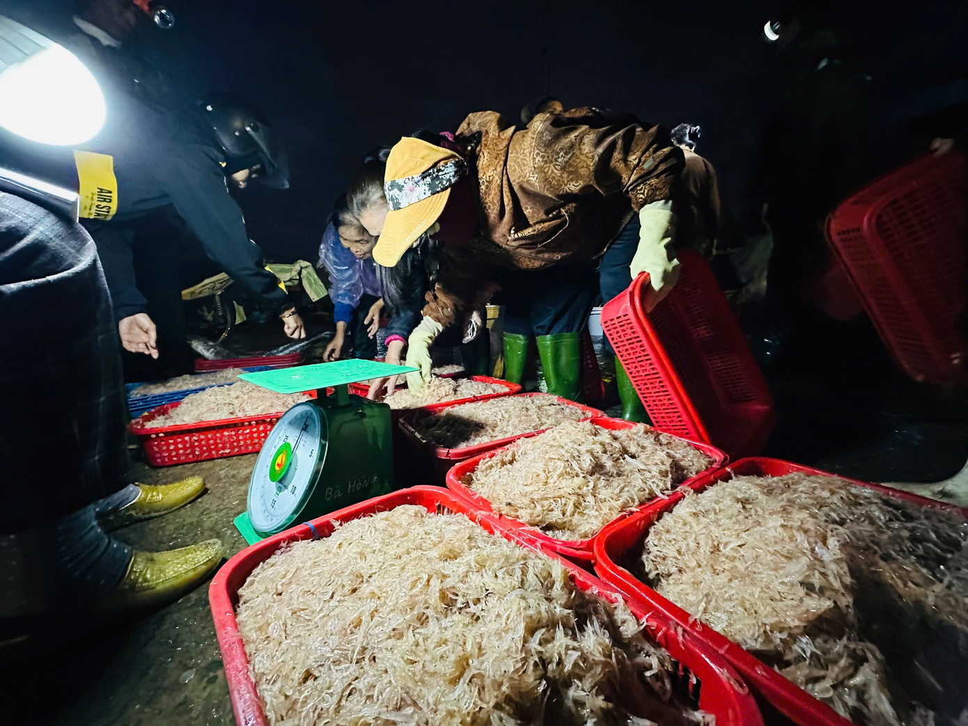 Ngư d&acirc;n H&agrave; Tĩnh tr&uacute;ng đậm &lsquo;lộc biển&rsquo;, thu tiền triệu mỗi ng&agrave;y - Ảnh 11.