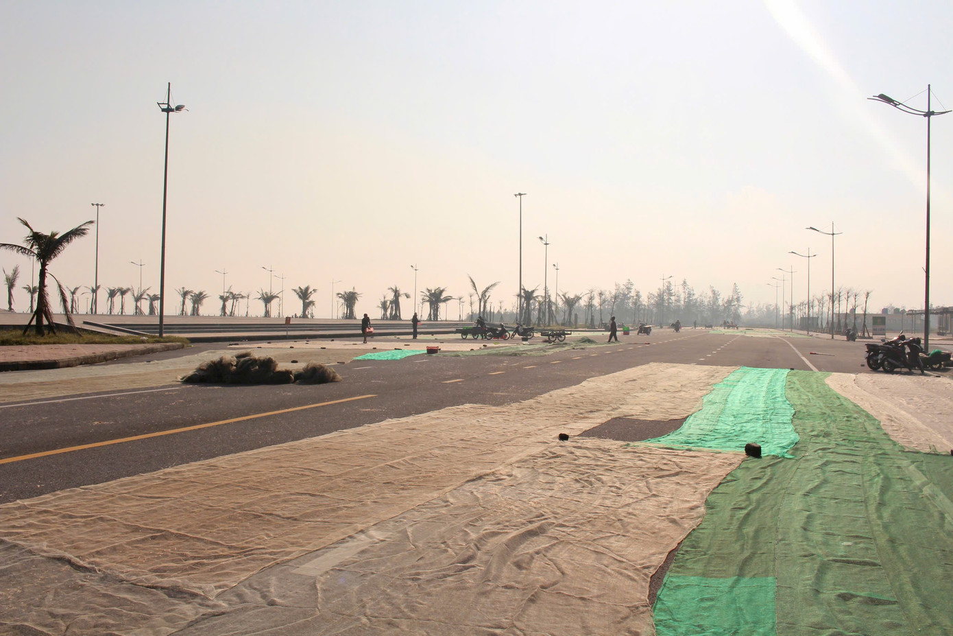 Ngư d&acirc;n H&agrave; Tĩnh tr&uacute;ng đậm &lsquo;lộc biển&rsquo;, thu tiền triệu mỗi ng&agrave;y - Ảnh 4.