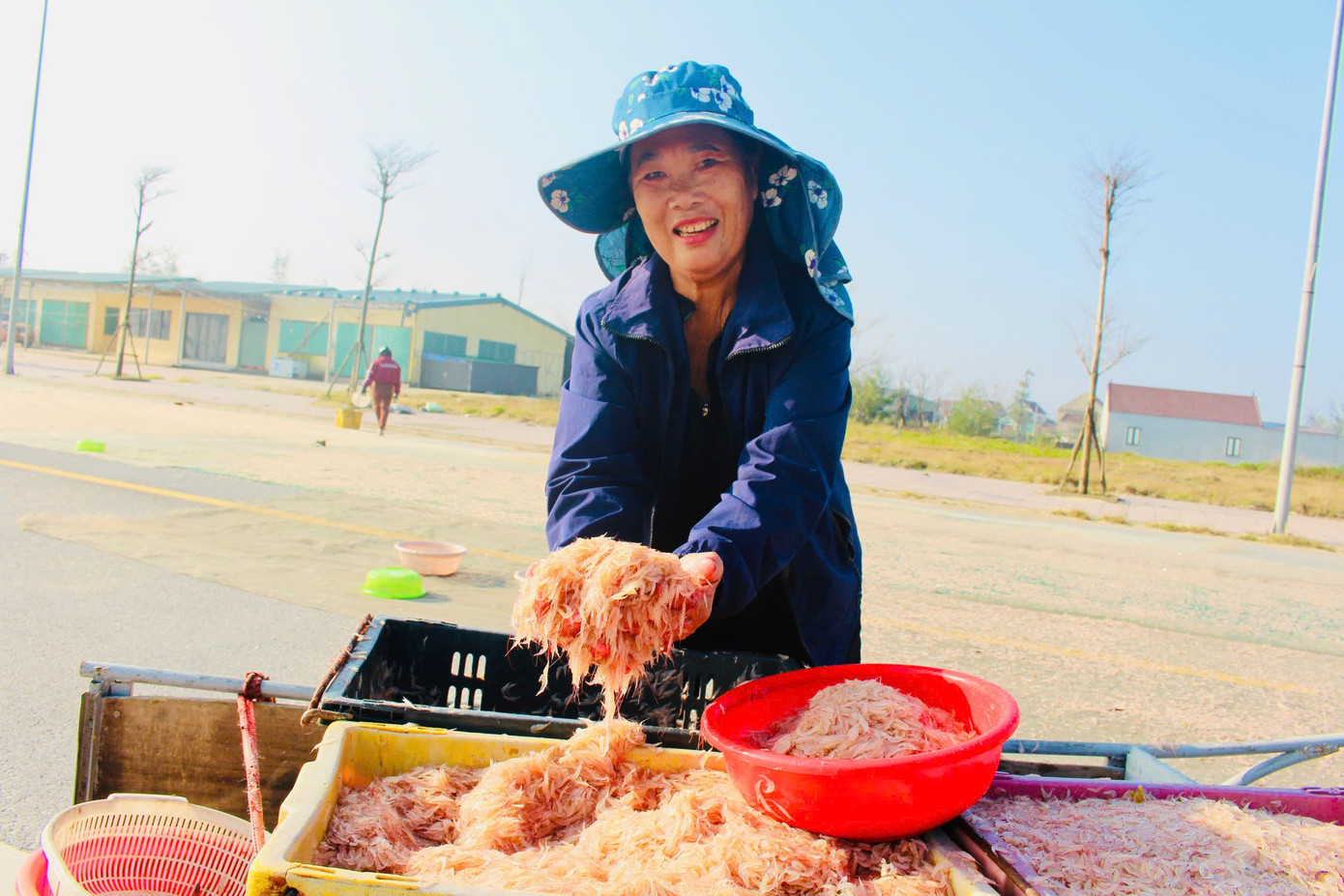 Ngư d&acirc;n H&agrave; Tĩnh tr&uacute;ng đậm &lsquo;lộc biển&rsquo;, thu tiền triệu mỗi ng&agrave;y - Ảnh 2.