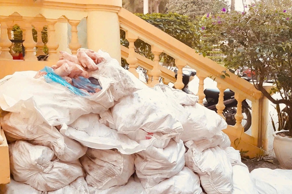 1.000kg chân lợn bốc mùi, 220kg xúc xích đông lạnh vừa bị thu giữ- Ảnh 2.