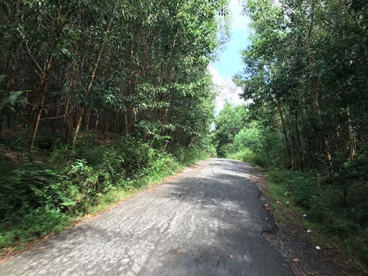 Phạm nh&acirc;n nguy hiểm trốn trại c&ugrave;ng Triệu Qu&acirc;n Sự: Bắt giữ đối tượng tại L&agrave;o- Ảnh 2.