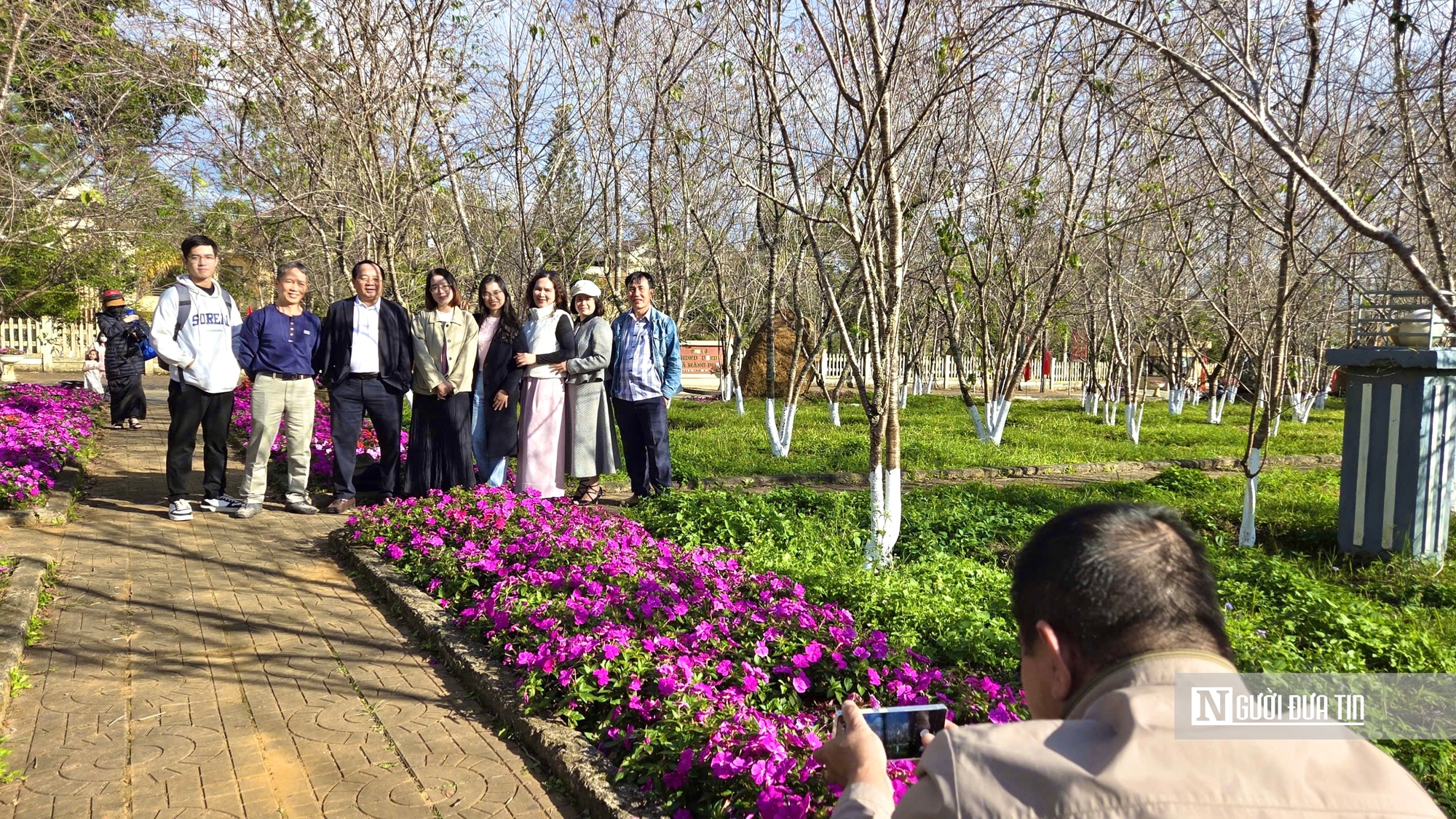 Ngắm hoa anh đ&agrave;o nở nhuộm hồng Măng Đen- Ảnh 10.