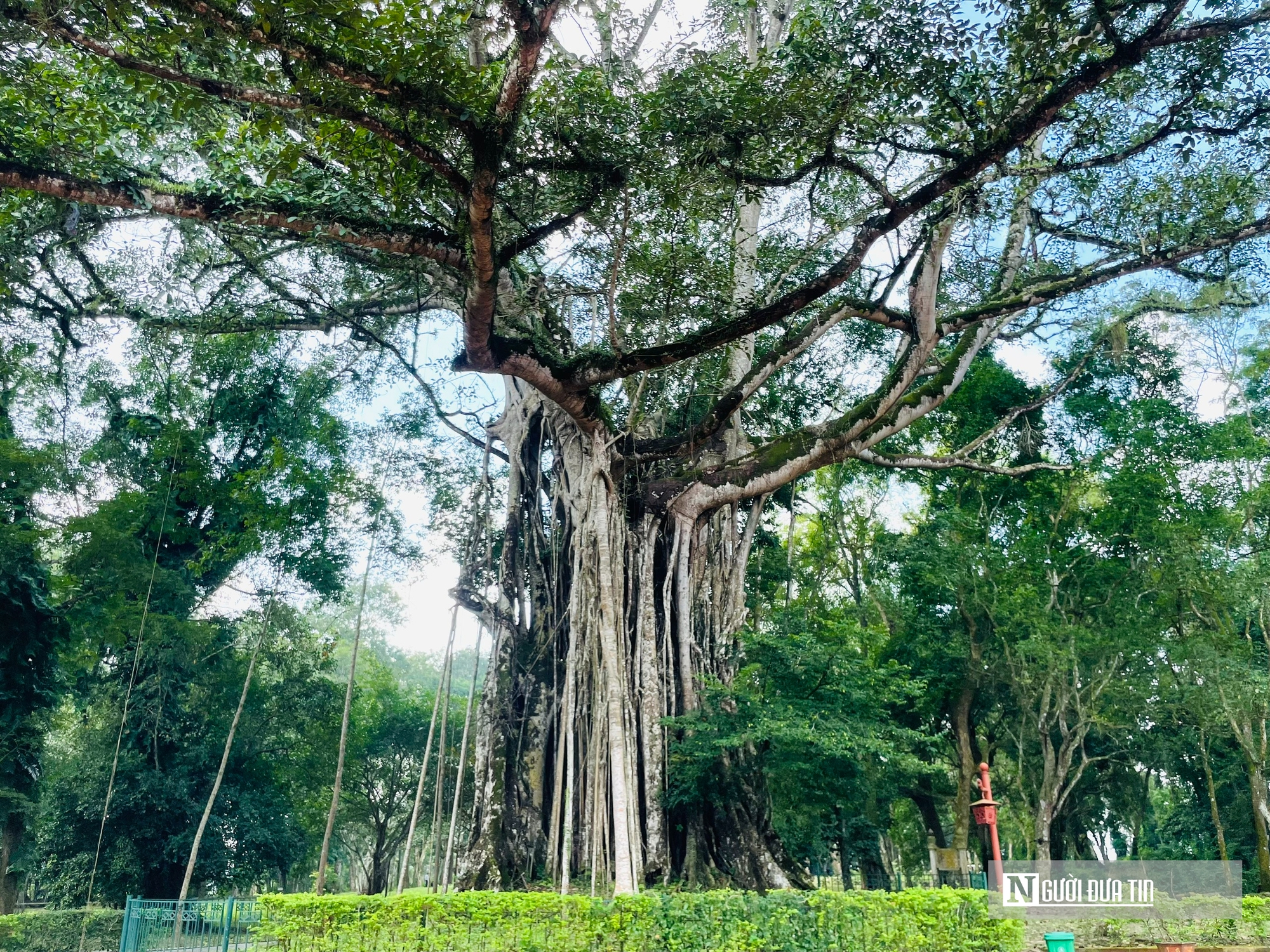Ch&iacute;nh điện Lam Kinh d&aacute;t v&agrave;ng - dấu ấn quyền uy của triều L&ecirc; c&aacute;ch đ&acirc;y 600 năm- Ảnh 13.