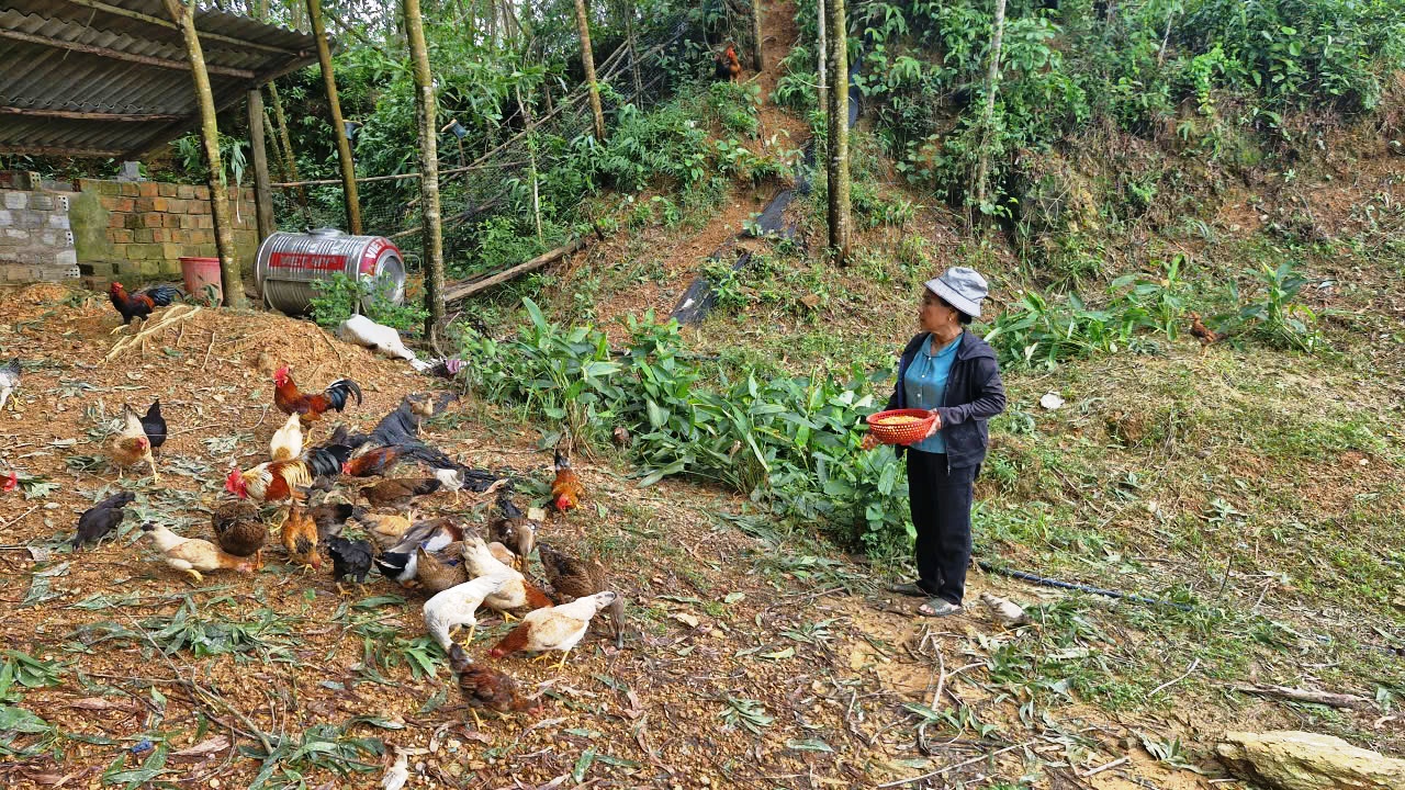 Cách làm của những nữ “thủ lĩnh” giúp người dân thoát khỏi đói nghèo, lạc hậu- Ảnh 2.