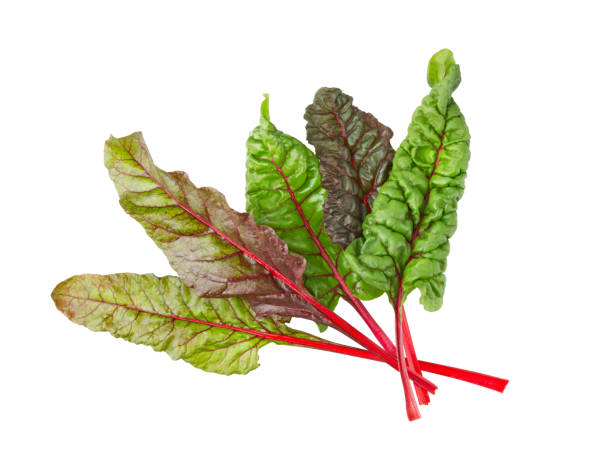 Loại rau được ca ngợi “tốt nhất thế giới” ở Việt Nam lại rẻ bèo, ra chợ là thấy - Ảnh 2.