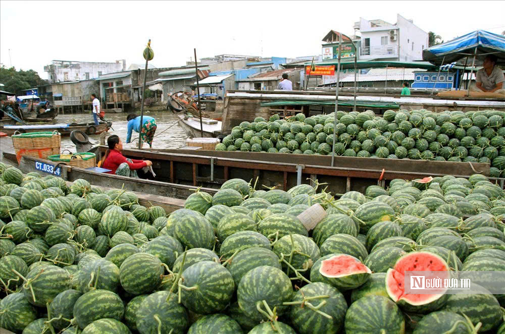 Giữ mùa xuân trên chợ nổi Cái Răng- Ảnh 4.