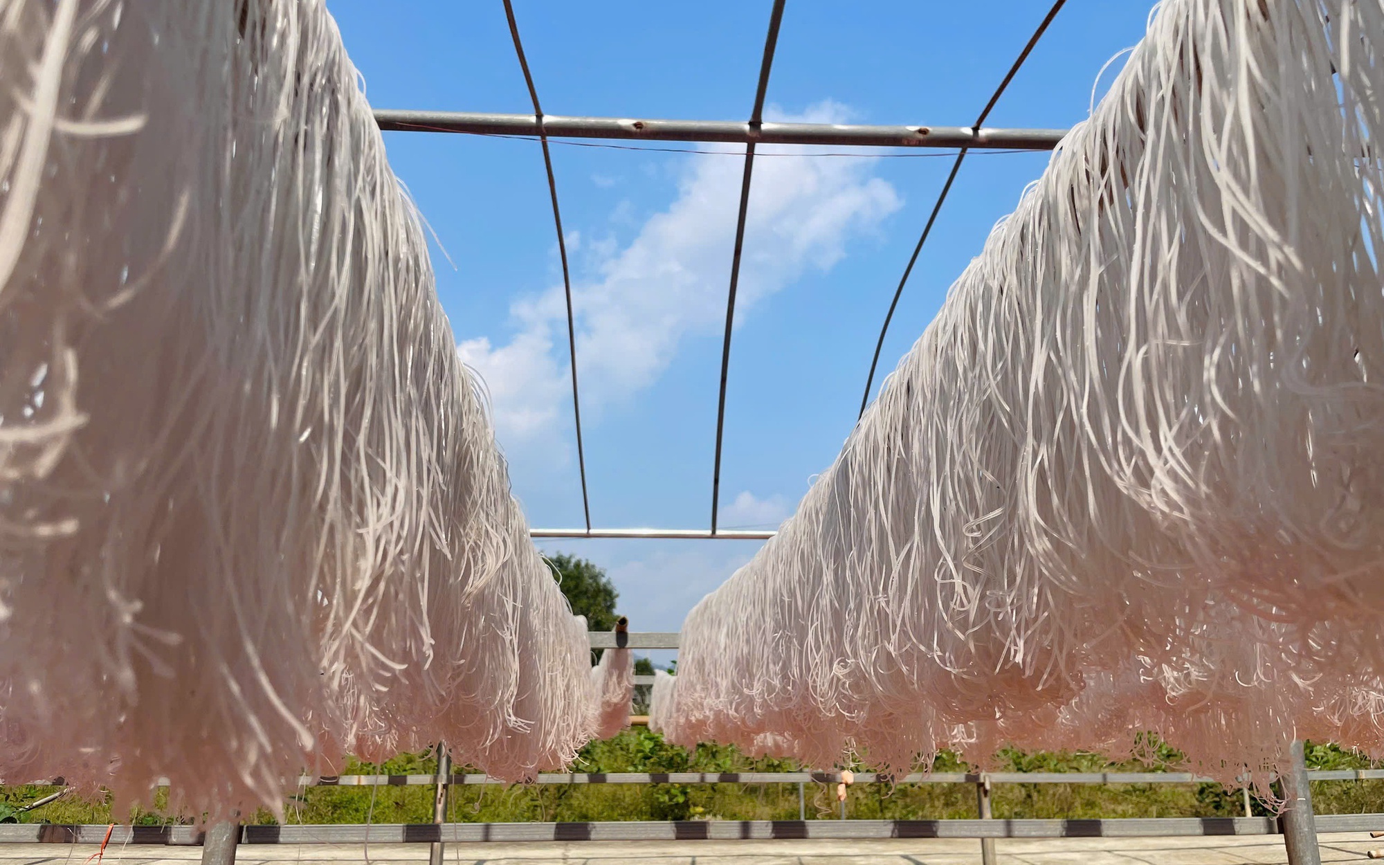 Quả ngọt tr&ecirc;n đỉnh Cao Sơn gi&uacute;p d&acirc;n v&ugrave;ng cao thu nhập h&agrave;ng trăm triệu đồng- Ảnh 9.