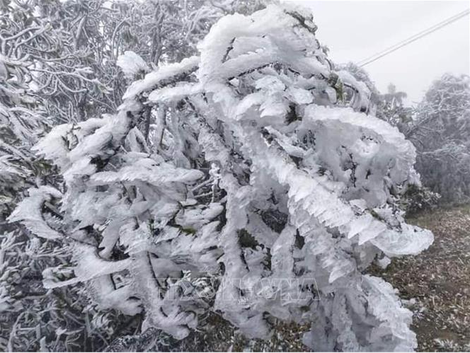 Dự báo thời tiết 22/1: Miền Bắc đón đợt không khí lạnh rất mạnh, dự báo nơi rét đậm nhất - Ảnh 1.