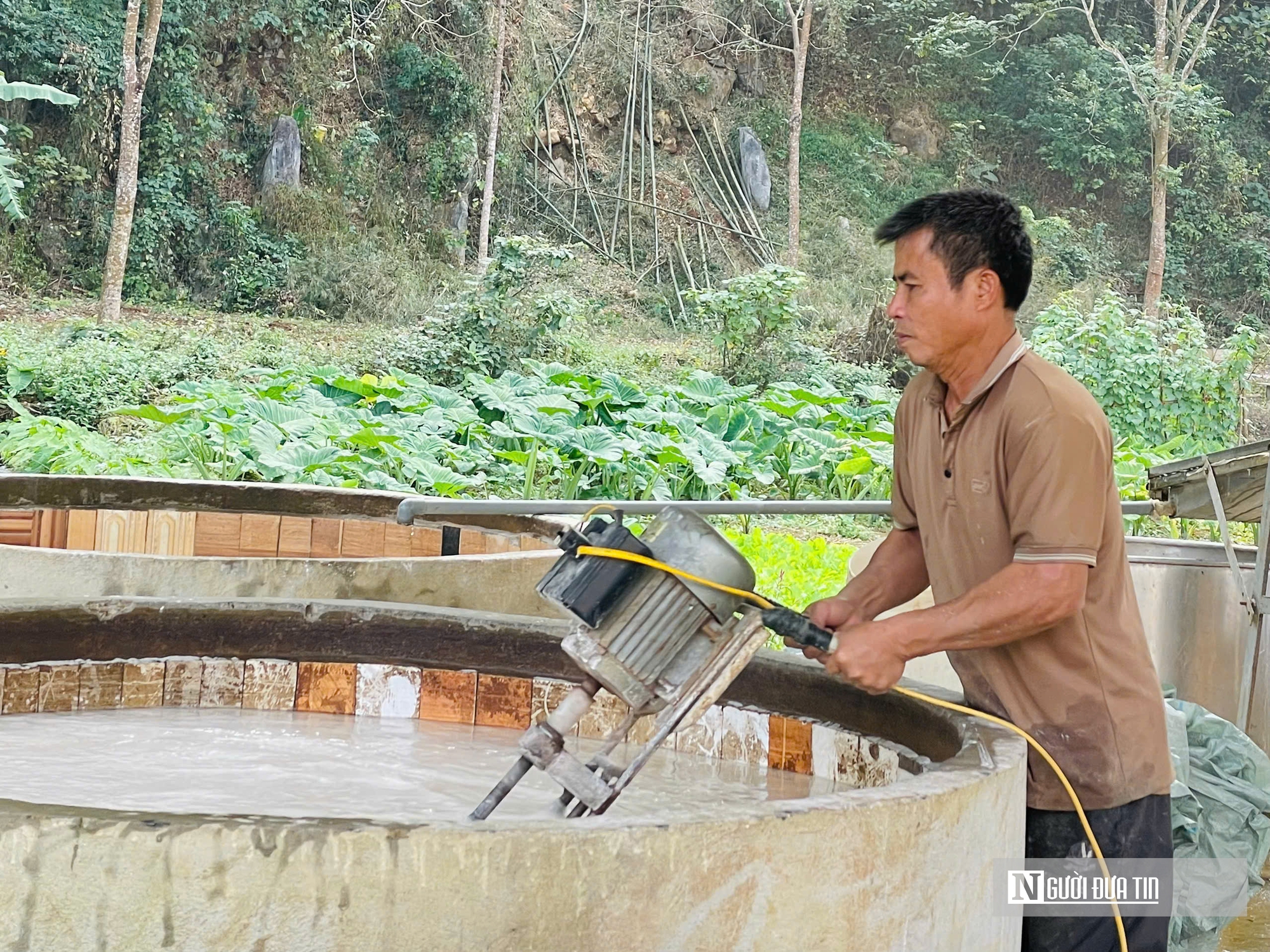 Kỳ vọng Tết no ấm, l&agrave;ng miến dong Cẩm Thạch tất bật v&agrave;o vụ lớn nhất năm - Ảnh 1.
