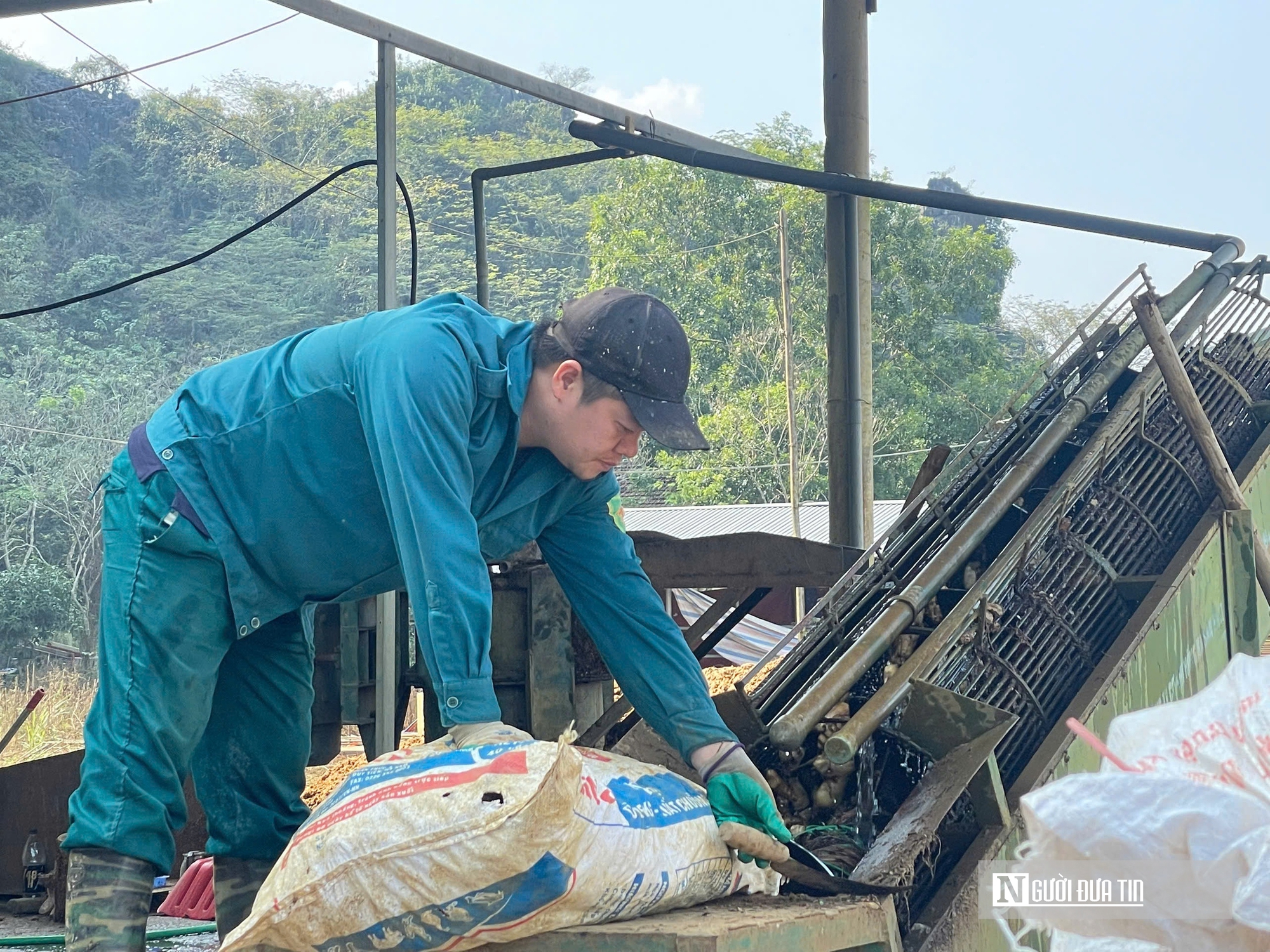 Kỳ vọng Tết no ấm, l&agrave;ng miến dong Cẩm Thạch tất bật v&agrave;o vụ lớn nhất năm - Ảnh 2.
