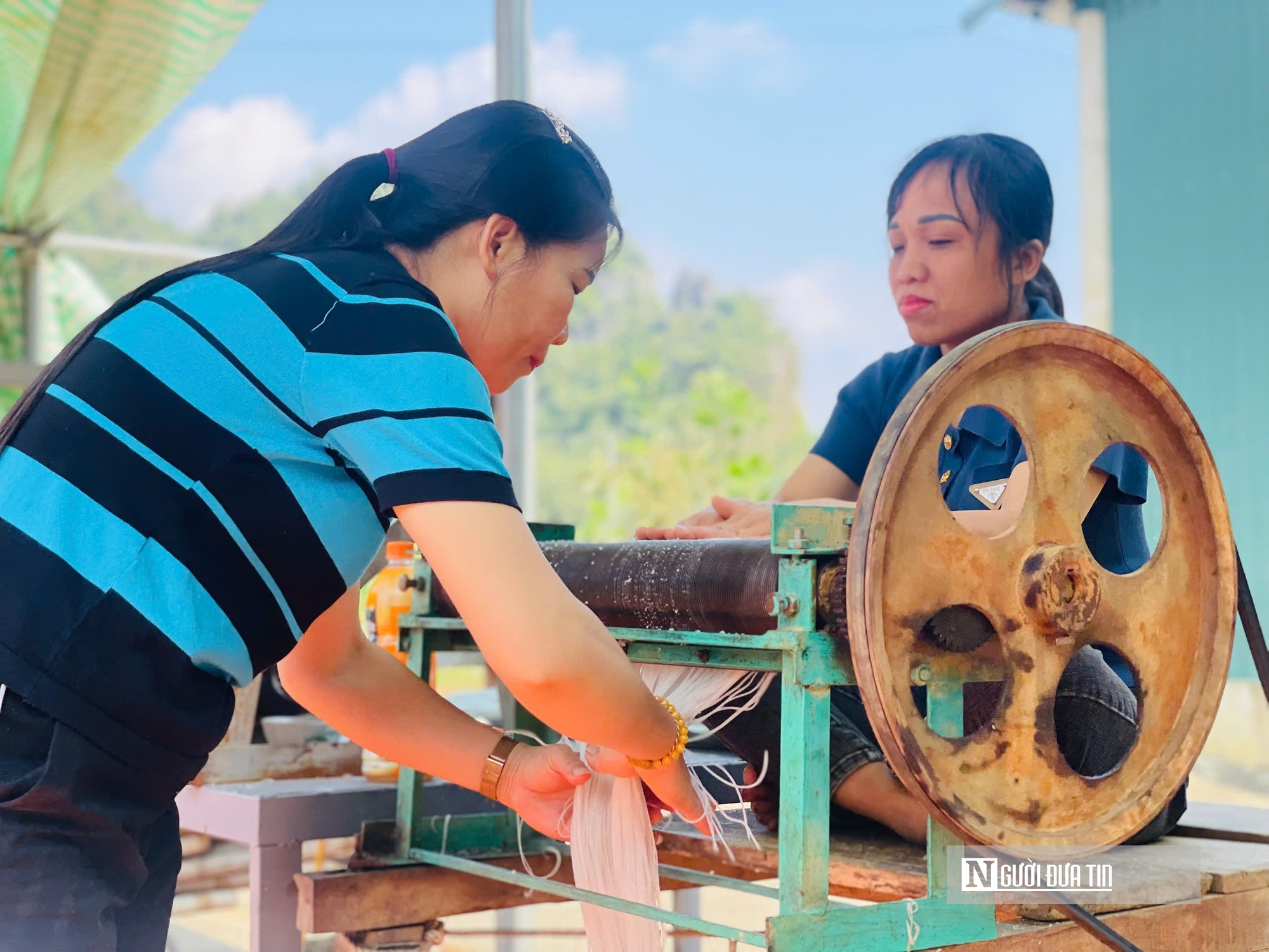 Kỳ vọng Tết no ấm, l&agrave;ng miến dong Cẩm Thạch tất bật v&agrave;o vụ lớn nhất năm - Ảnh 7.