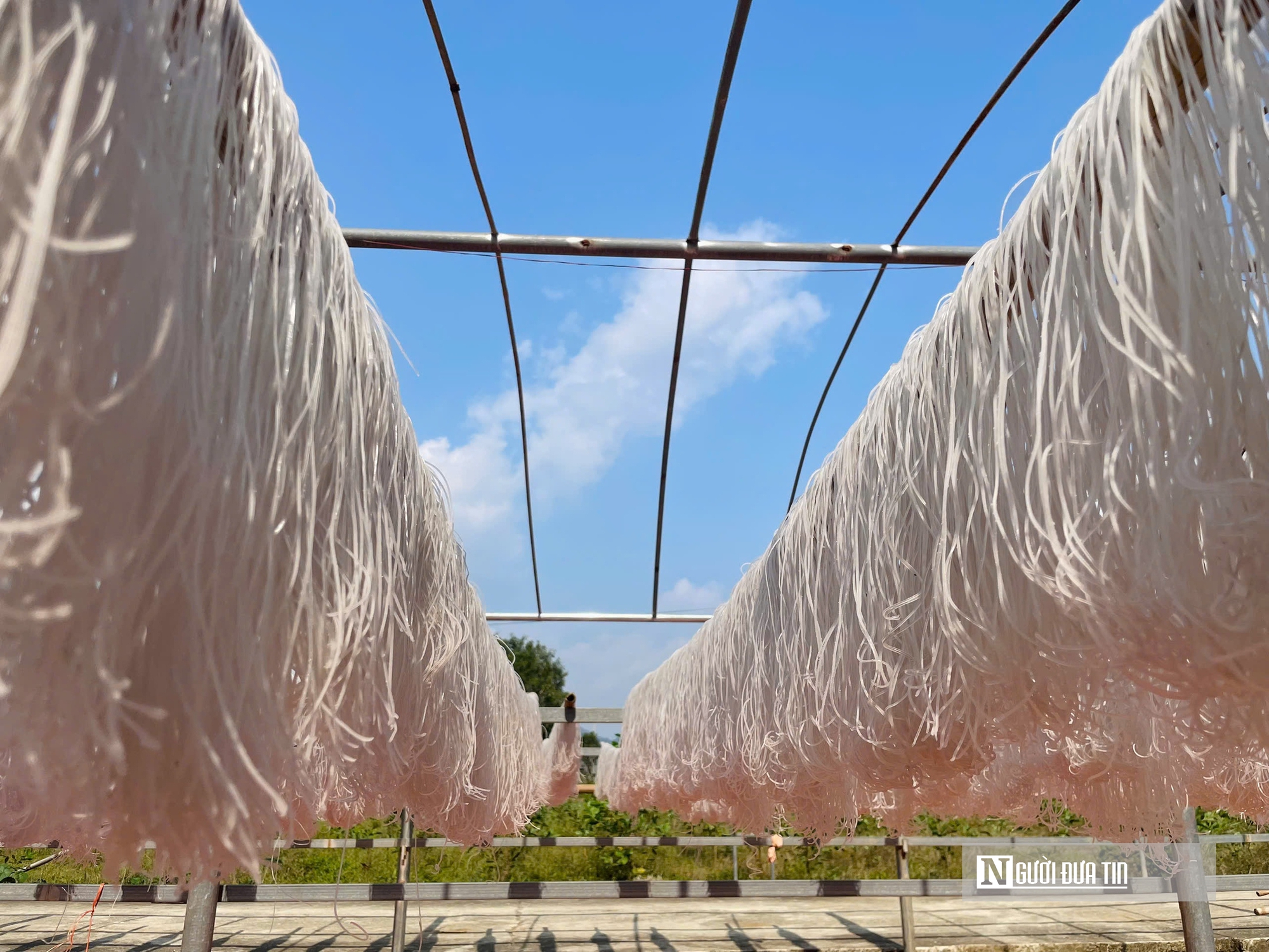 Kỳ vọng Tết no ấm, l&agrave;ng miến dong Cẩm Thạch tất bật v&agrave;o vụ lớn nhất năm - Ảnh 9.