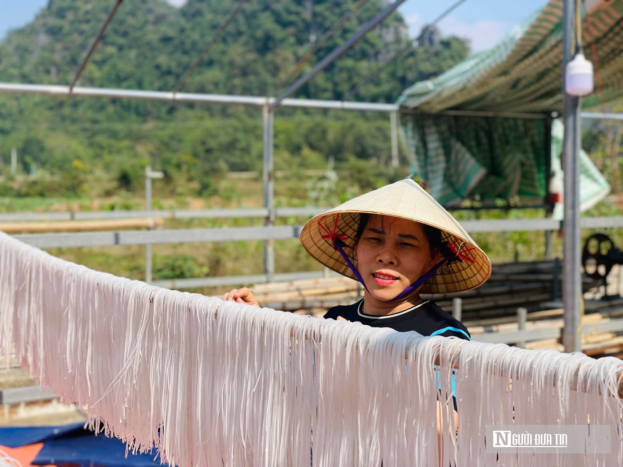 Kỳ vọng Tết no ấm, l&agrave;ng miến dong Cẩm Thạch tất bật v&agrave;o vụ lớn nhất năm - Ảnh 11.