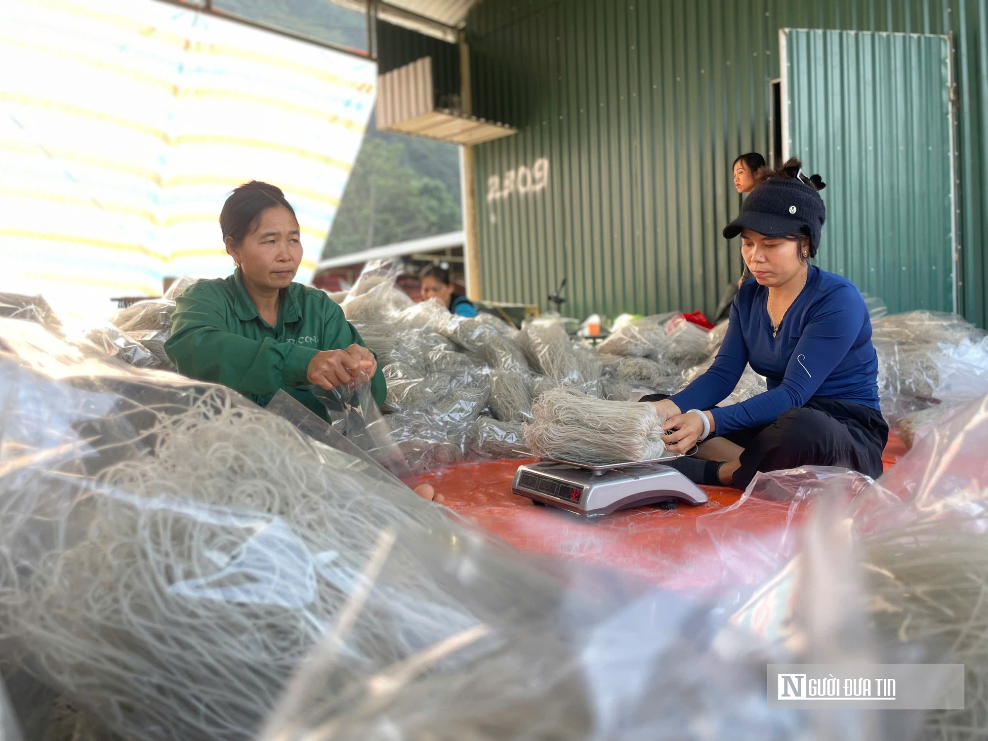 Kỳ vọng Tết no ấm, l&agrave;ng miến dong Cẩm Thạch tất bật v&agrave;o vụ lớn nhất năm - Ảnh 12.
