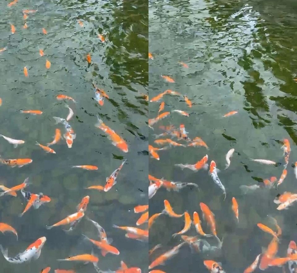 Trường Giang - Nhã Phương sau 8 năm kết hôn sở hữu khối tài sản "khủng" - Ảnh 6.