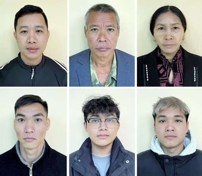 Khởi tố nhóm đối tượng thu mua lợn nhiễm bệnh rồi tung ra thị trường - Ảnh 1.