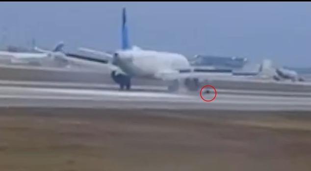 M&aacute;y bay rơi b&aacute;nh trước khi đang hạ c&aacute;nh tr&ecirc;n đường băng- Ảnh 1.