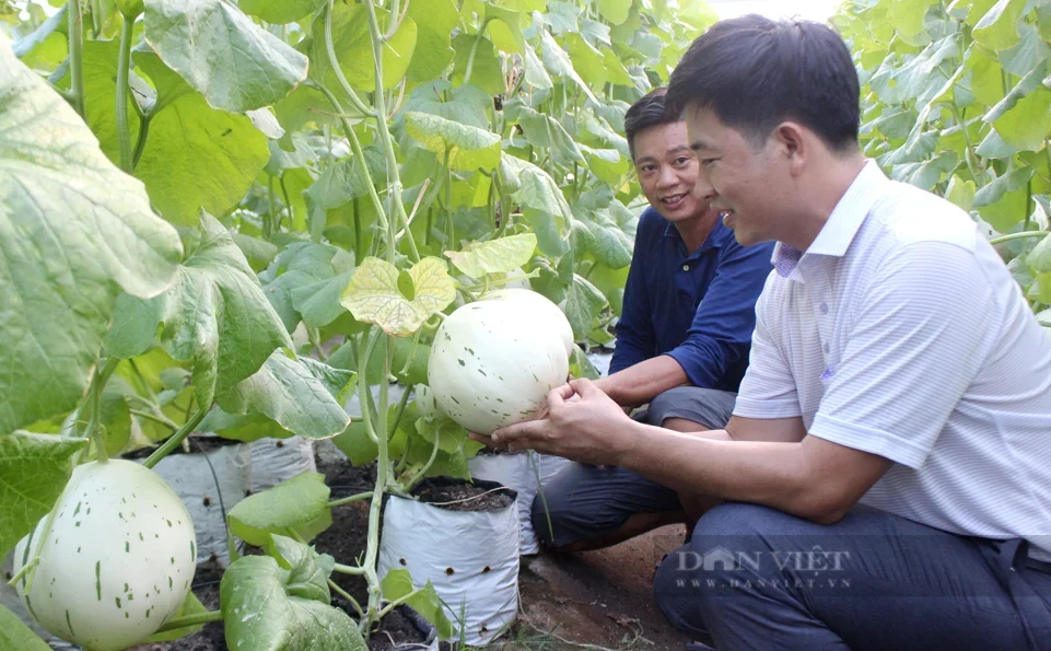 Chủ tịch Hội Nông dân Việt Nam Lương Quốc Đoàn: Phát huy vai trò, sức sáng tạo của nông dân trong kỷ nguyên mới - Ảnh 6.