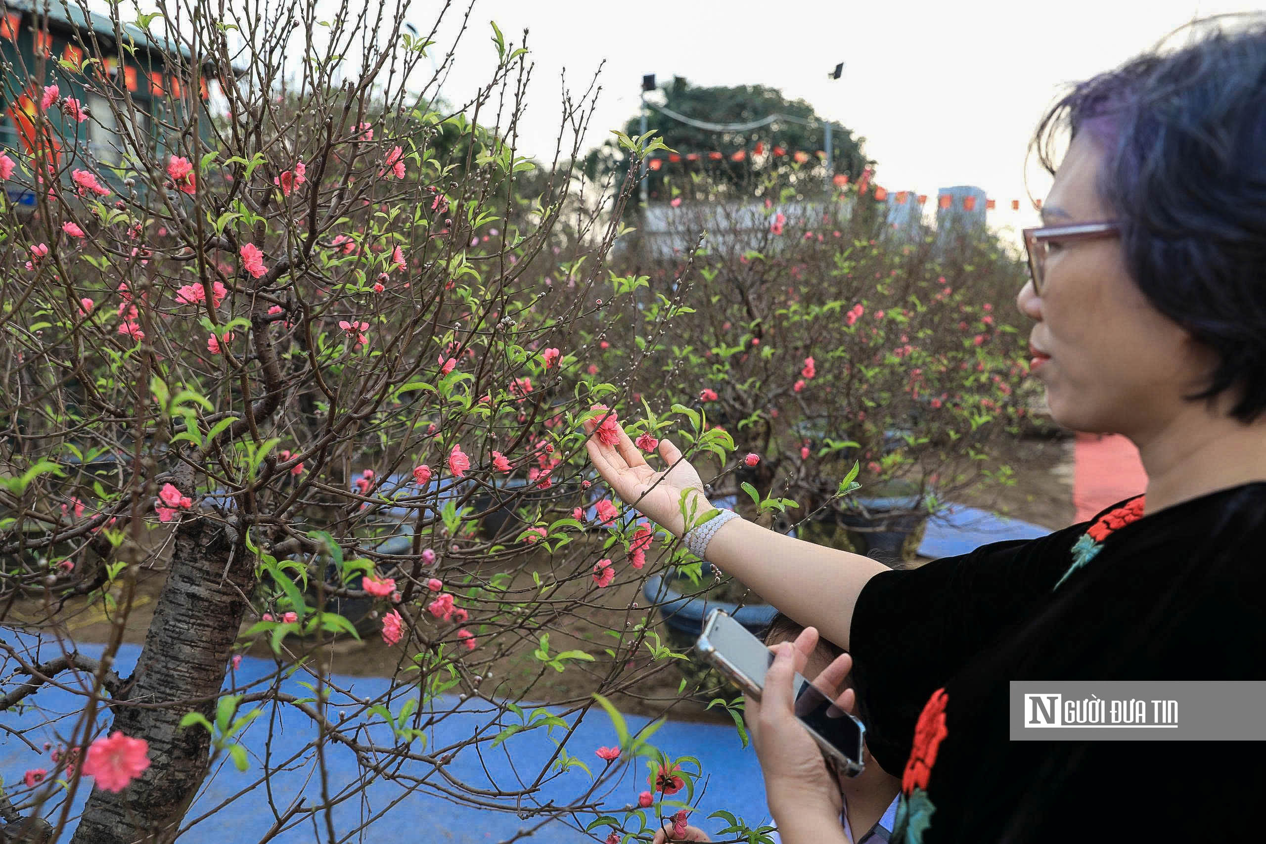 H&agrave; Nội: Người d&acirc;n h&agrave;o hứng trải nghiệm sắc Xu&acirc;n B&iacute;nh Ngọ - Ảnh 4.