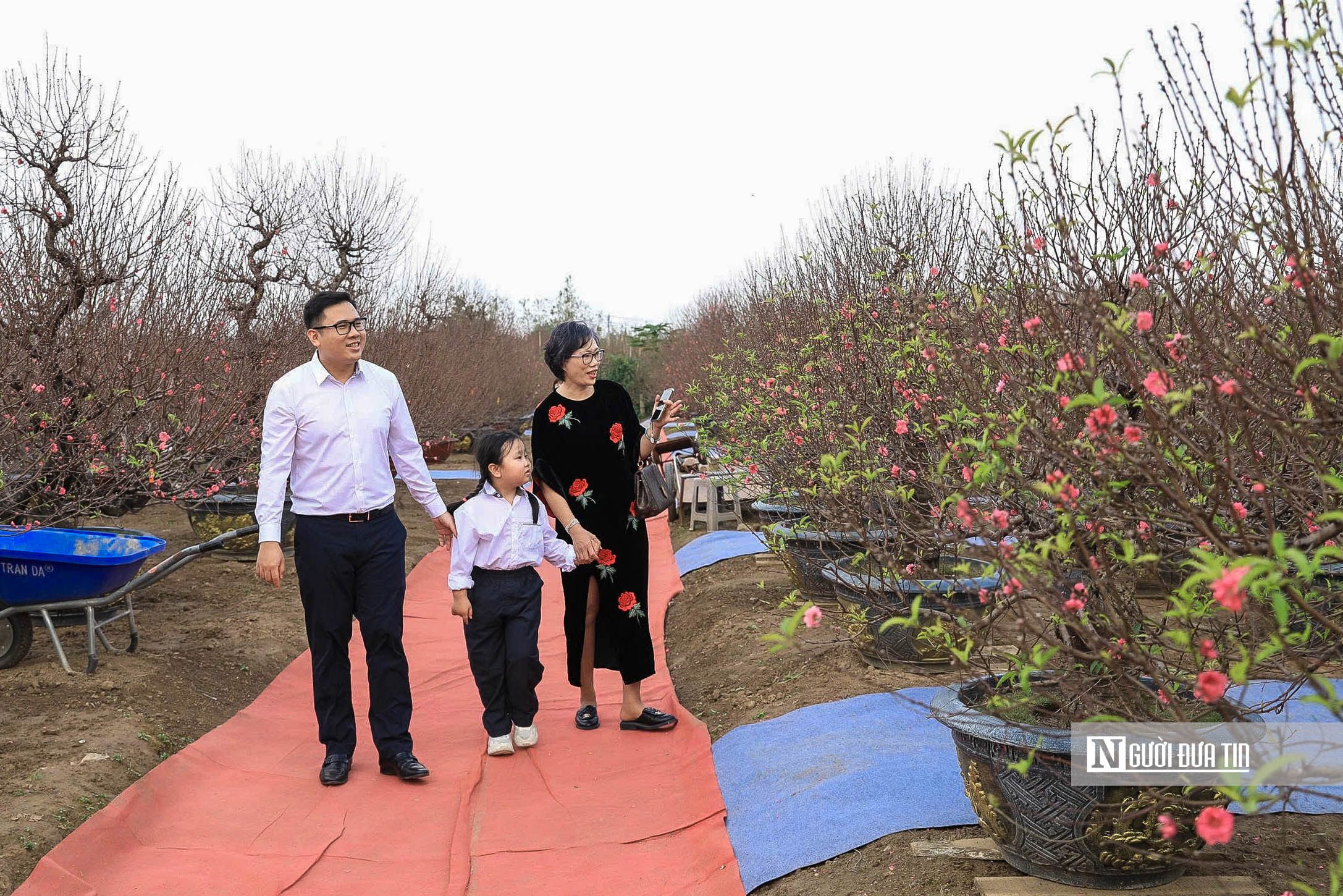 H&agrave; Nội: Người d&acirc;n h&agrave;o hứng trải nghiệm sắc Xu&acirc;n B&iacute;nh Ngọ - Ảnh 2.