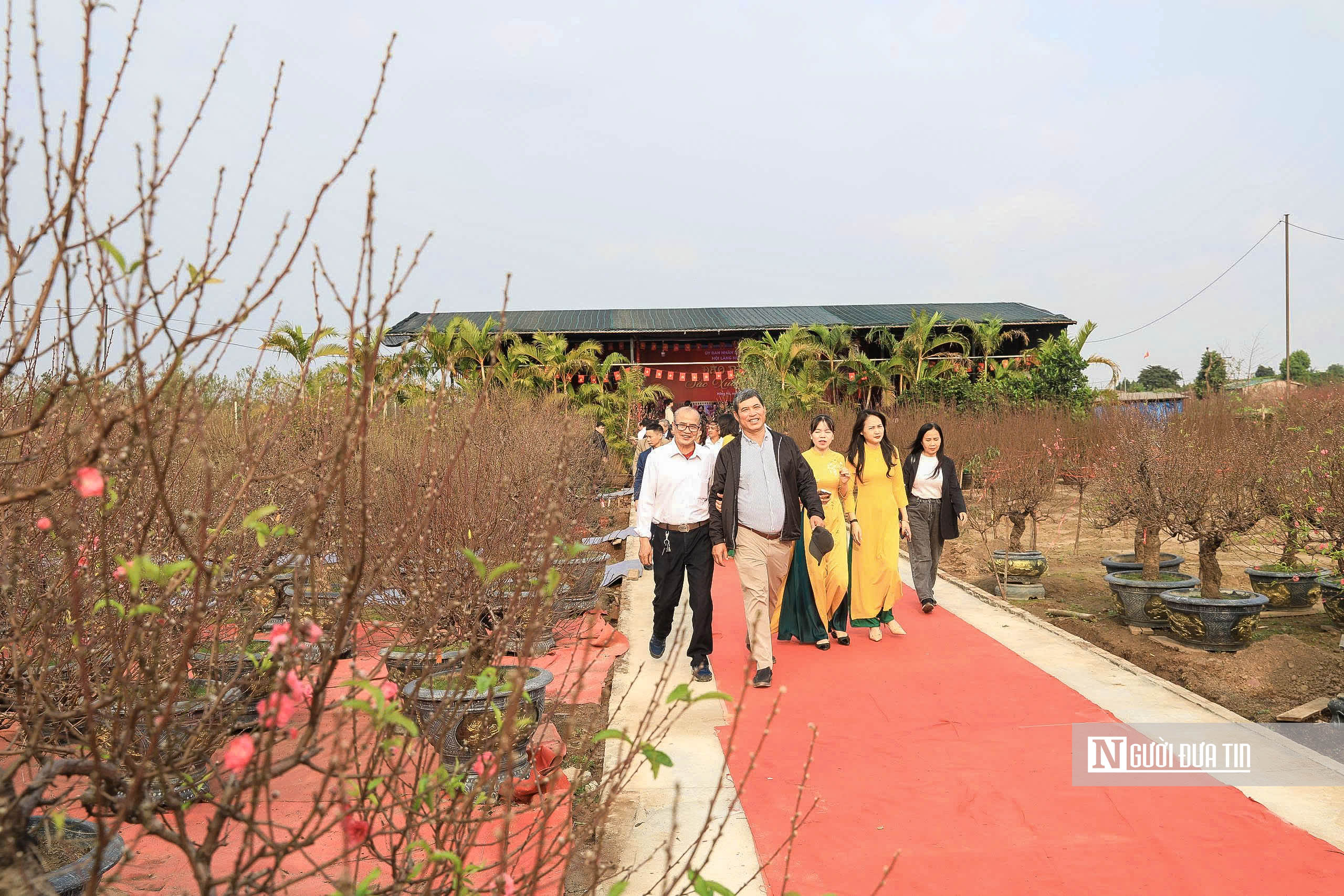 H&agrave; Nội: Người d&acirc;n h&agrave;o hứng trải nghiệm sắc Xu&acirc;n B&iacute;nh Ngọ - Ảnh 1.