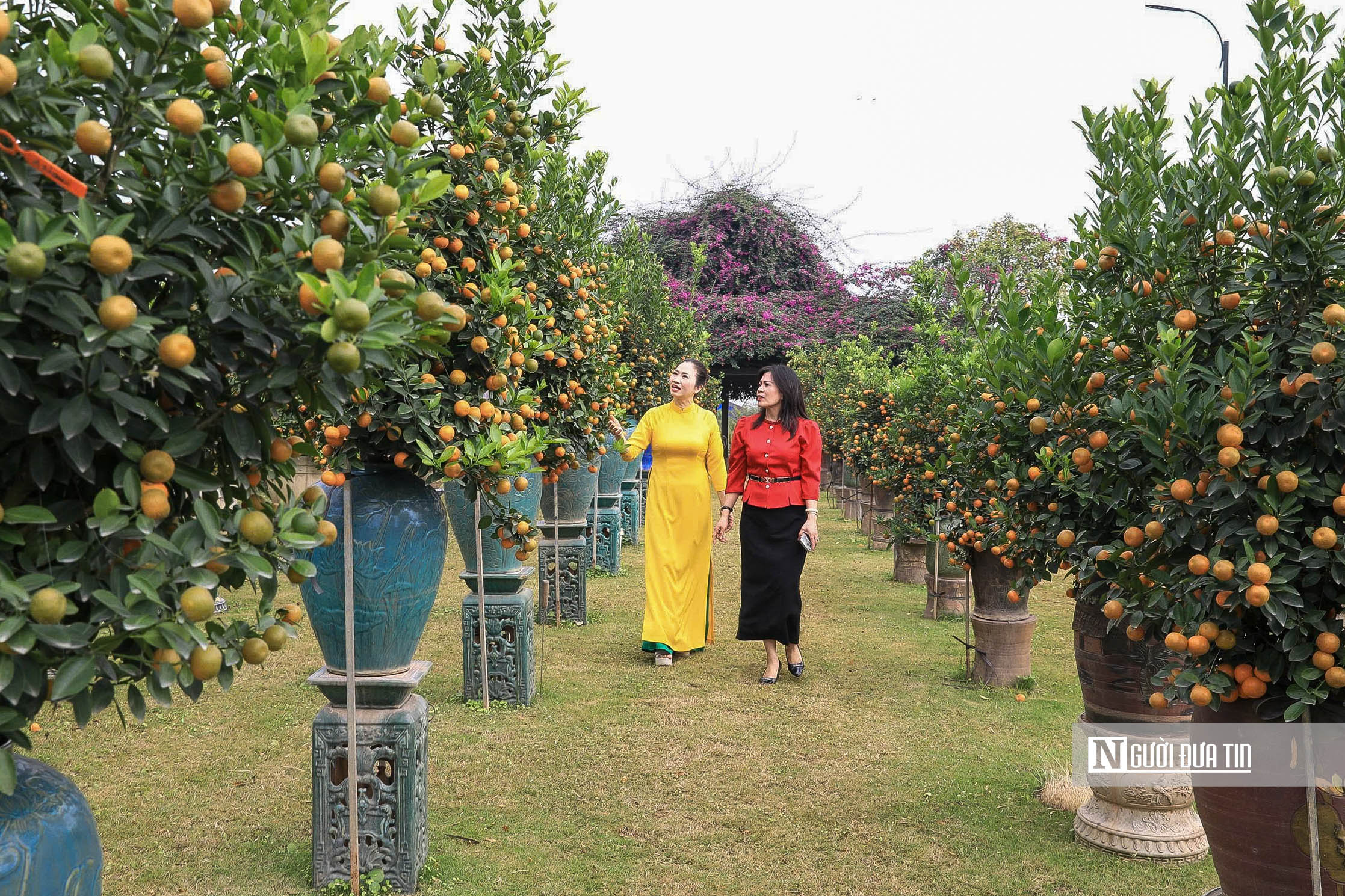 H&agrave; Nội: Người d&acirc;n h&agrave;o hứng trải nghiệm sắc Xu&acirc;n B&iacute;nh Ngọ - Ảnh 6.