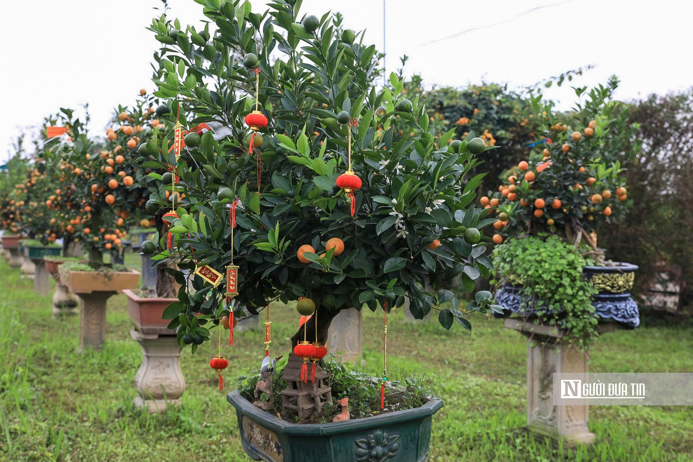 H&agrave; Nội: Người d&acirc;n h&agrave;o hứng trải nghiệm sắc Xu&acirc;n B&iacute;nh Ngọ - Ảnh 9.