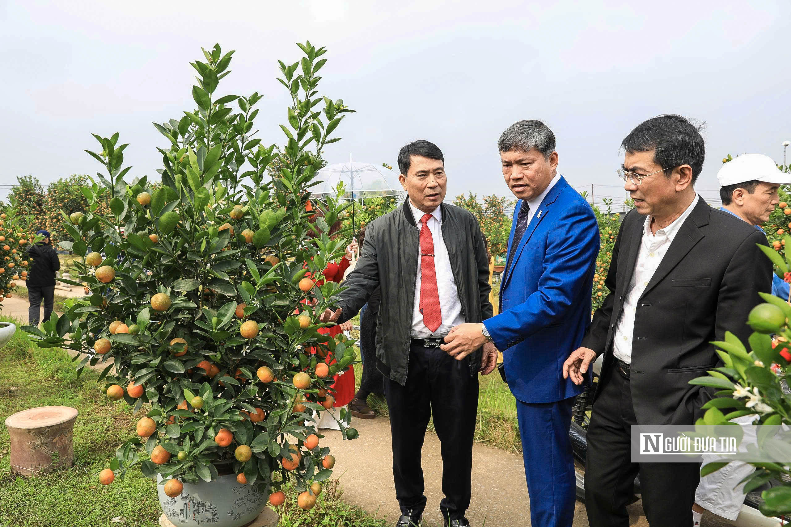 H&agrave; Nội: Người d&acirc;n h&agrave;o hứng trải nghiệm sắc Xu&acirc;n B&iacute;nh Ngọ - Ảnh 8.