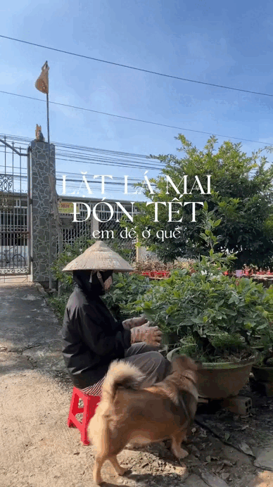 "Đặc sản Tết" không thể thiếu của người miền Tây - Ảnh 2.