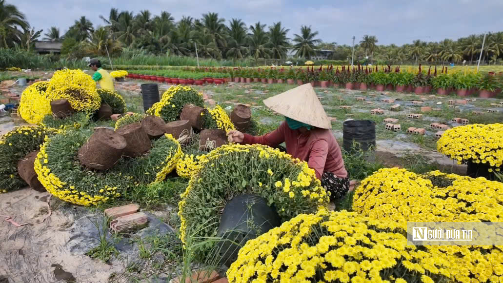 Hoa nở trước mùa, nhưng lòng người đúng Tết - Ảnh 5.