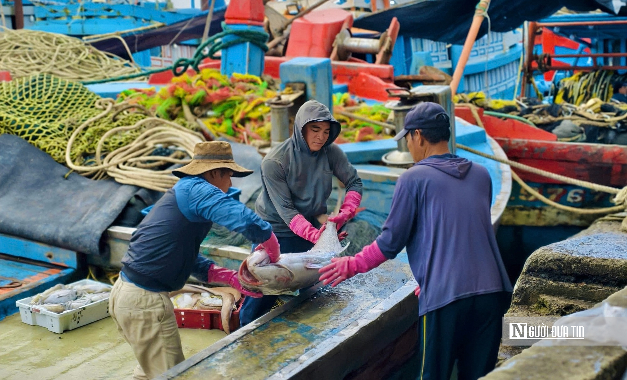 Quảng Ng&atilde;i: Bội thu những chuyến biển cuối năm, thuyền vi&ecirc;n đến c&ocirc;ng nh&acirc;n cảng c&aacute; "ấm bụng" đ&oacute;n Tết- Ảnh 1.