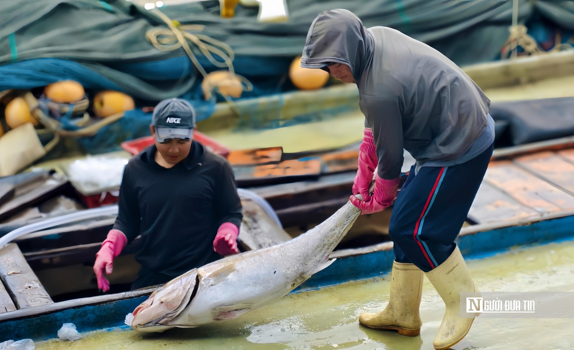 Quảng Ng&atilde;i: Bội thu những chuyến biển cuối năm, thuyền vi&ecirc;n đến c&ocirc;ng nh&acirc;n cảng c&aacute; "ấm bụng" đ&oacute;n Tết- Ảnh 6.