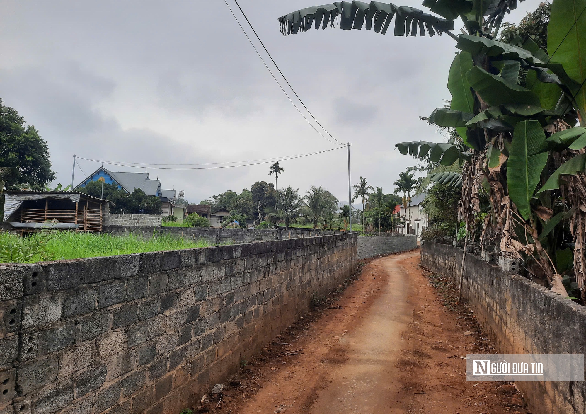 Vụ nghi mẹ cho 3 con uống tr&agrave; sữa pha thuốc chuột: Lời kể từ gia đ&igrave;nh h&agrave;ng x&oacute;m - Ảnh 1.