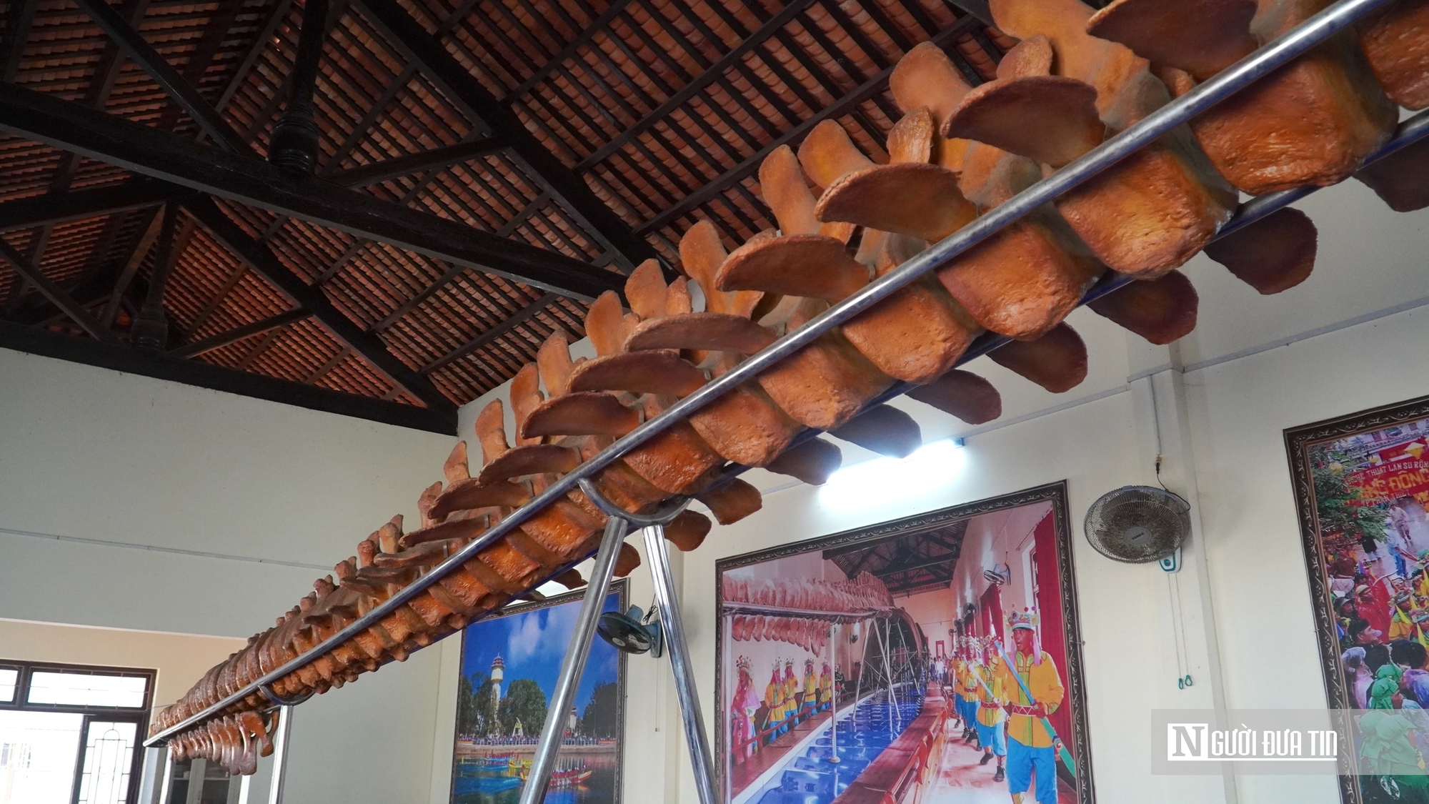 Choáng ngợp trước bộ xương cá voi 22m lớn nhất Đông Nam Á- Ảnh 6. Choáng ngợp trước bộ xương cá voi 22m lớn nhất Đông Nam Á- Ảnh 6.