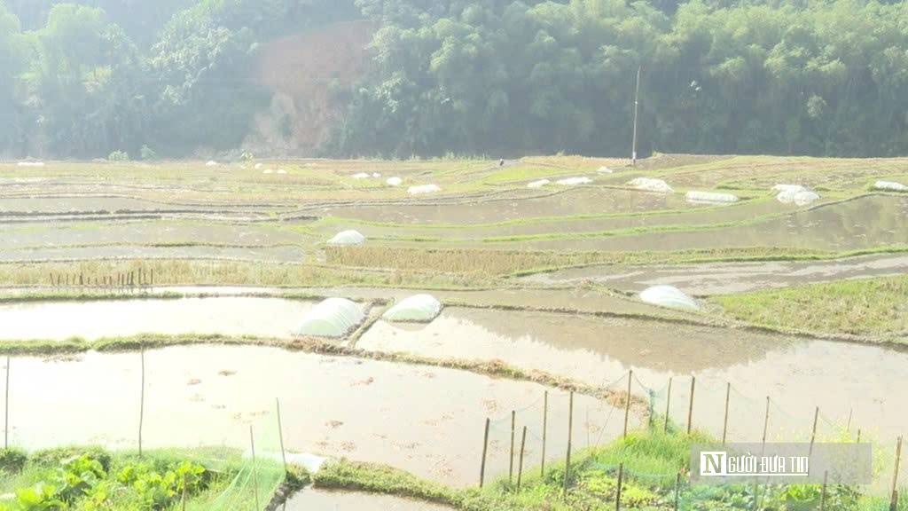 Nhịp sống hồi sinh nơi bi&ecirc;n giới Tam Thanh sau mưa lũ  - Ảnh 3.