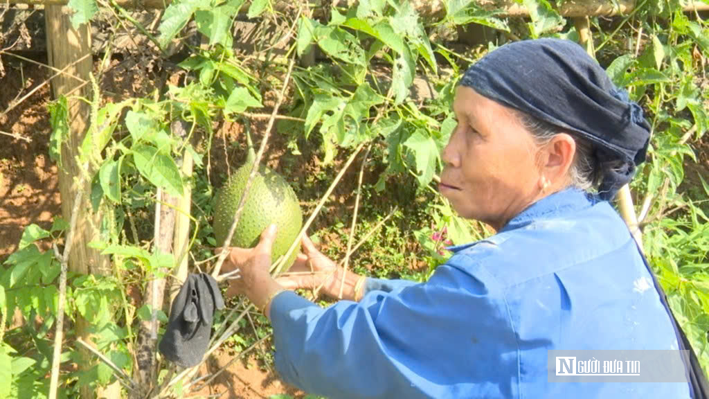 Nhịp sống hồi sinh nơi bi&ecirc;n giới Tam Thanh sau mưa lũ  - Ảnh 4.